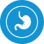 Gastrointestinal Cancer Icon