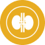 Genitourinary Cancer Icon