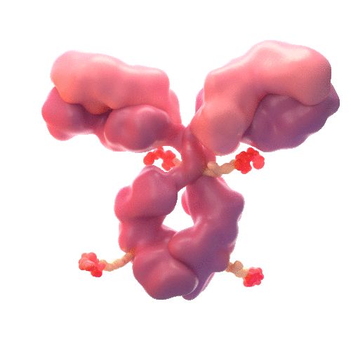 rotating image for Disitamab vedotin