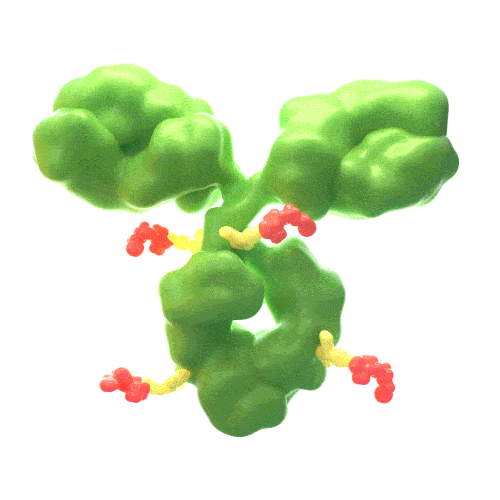 rotating image for Enfortumab vedotin