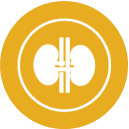 Small icon representing GU Cancer