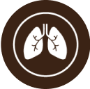 Small icon representing Lung Thoracic Cancer