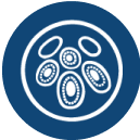 small icon for other/multiple cancer
