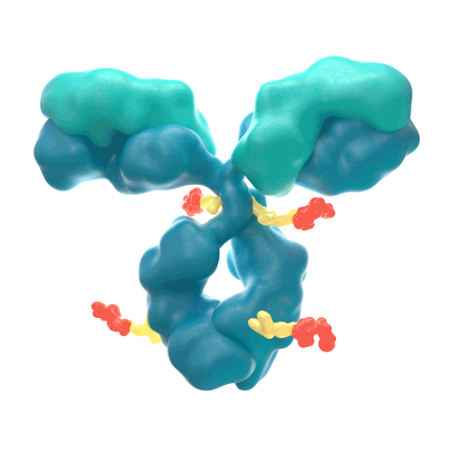rotating image of Tisotumab vedotin