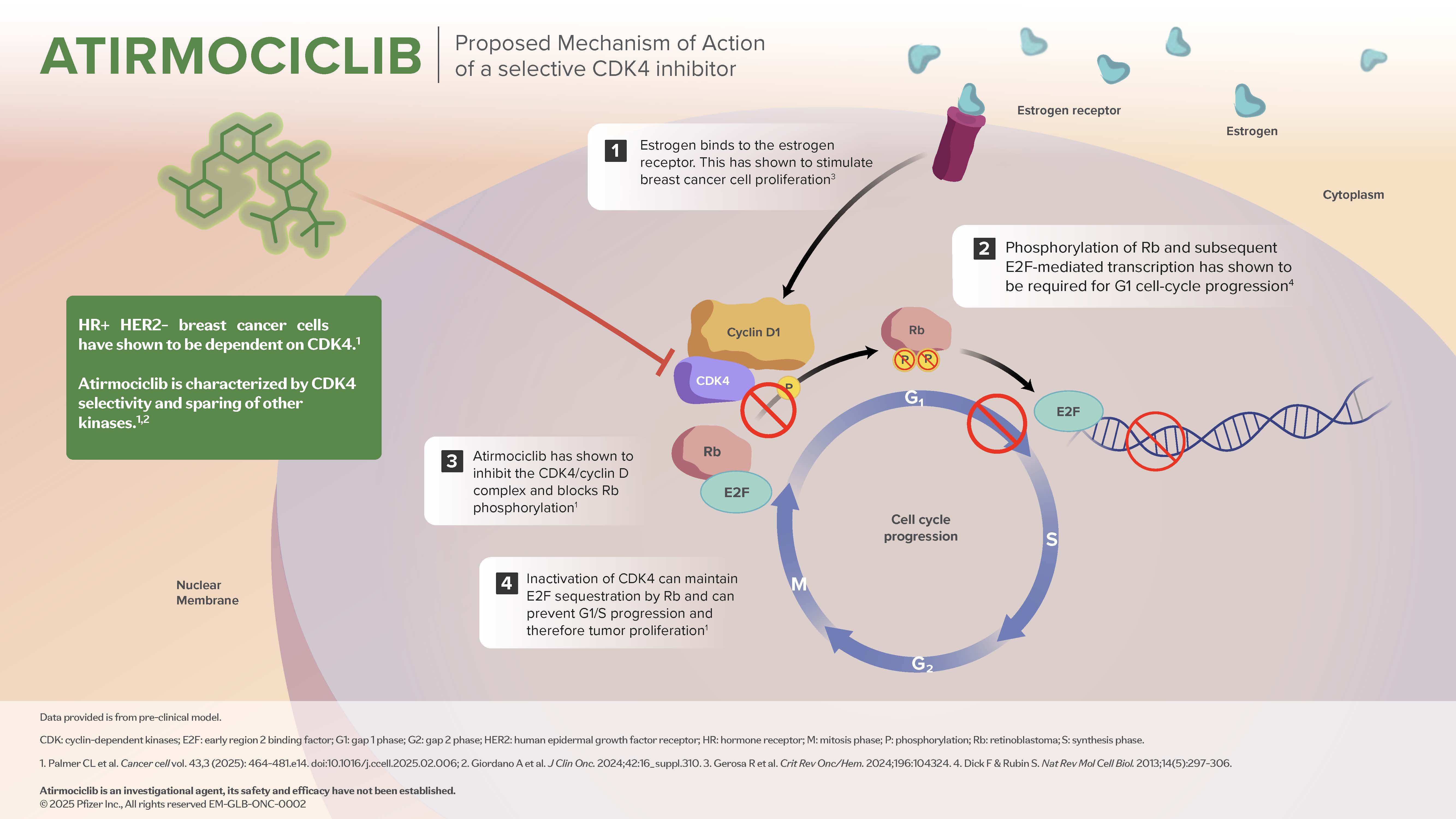 Atirmociclib